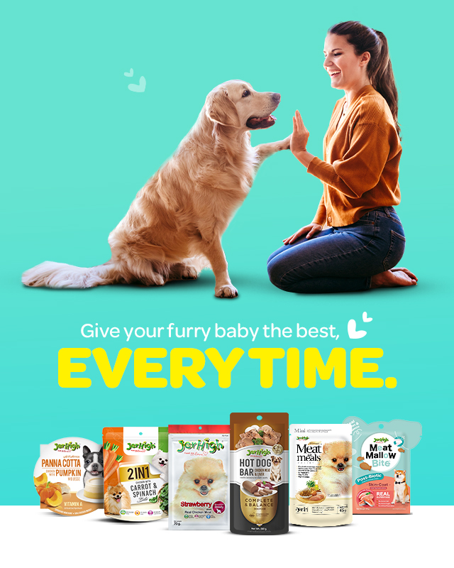 Home Mobile banner